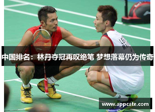中国排名：林丹夺冠再叹绝笔 梦想落幕仍为传奇