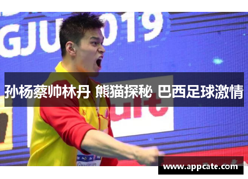 孙杨蔡帅林丹 熊猫探秘 巴西足球激情